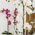 Apartamento Summer Dreams *