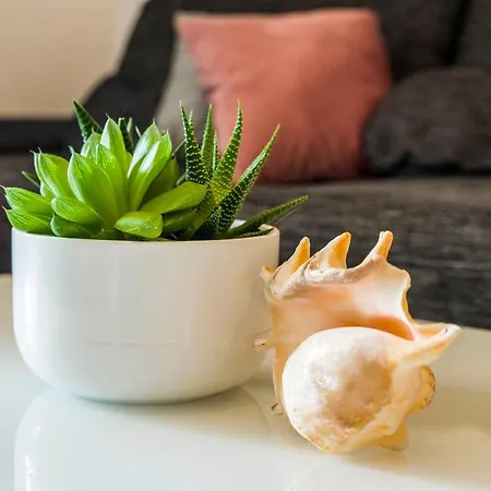 Summer Dreams * Split