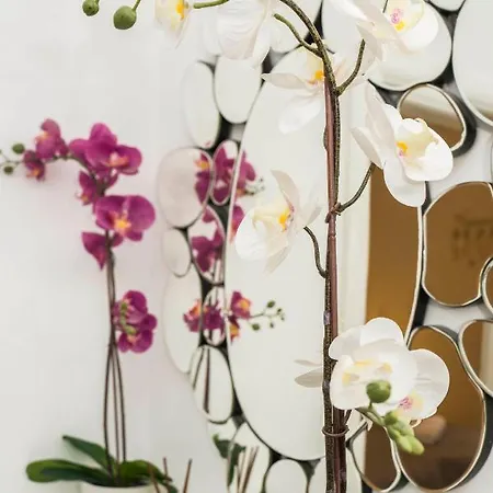 Apartamento Summer Dreams *