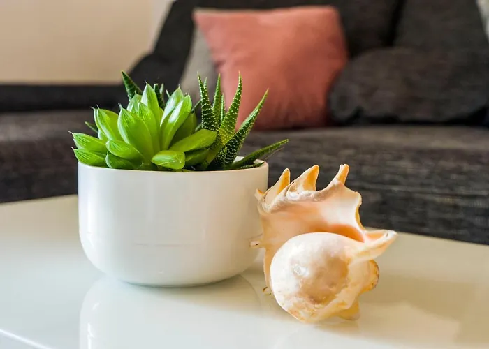 Summer Dreams * Split