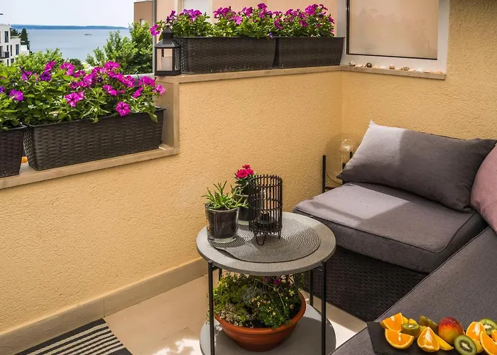 Summer Dreams * Split