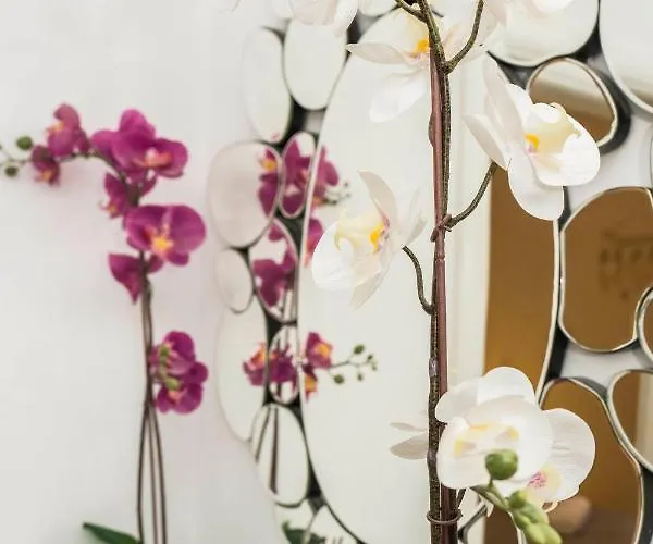 Apartament Summer Dreams *