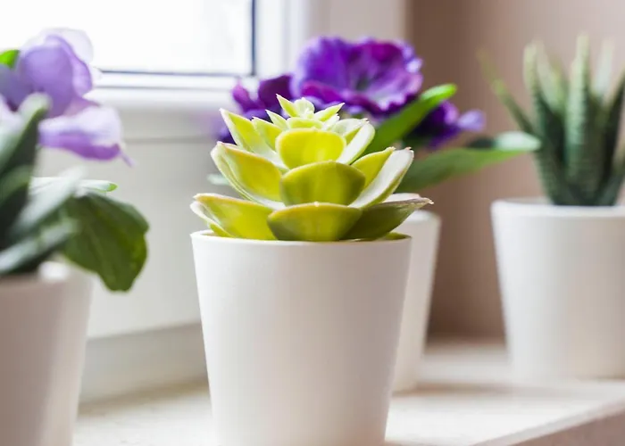 Summer Dreams 公寓 斯普利特